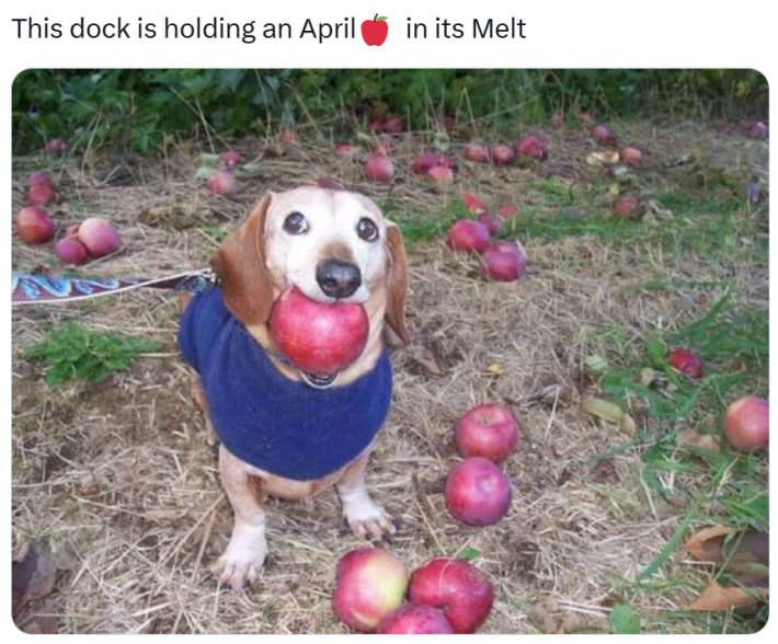 Original Apple Dog meme.