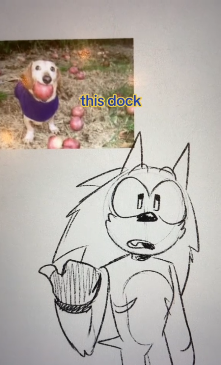 Sonic the Hedgehog pen drawing pointing at the photo of the Apple Dog saying, "this dock"