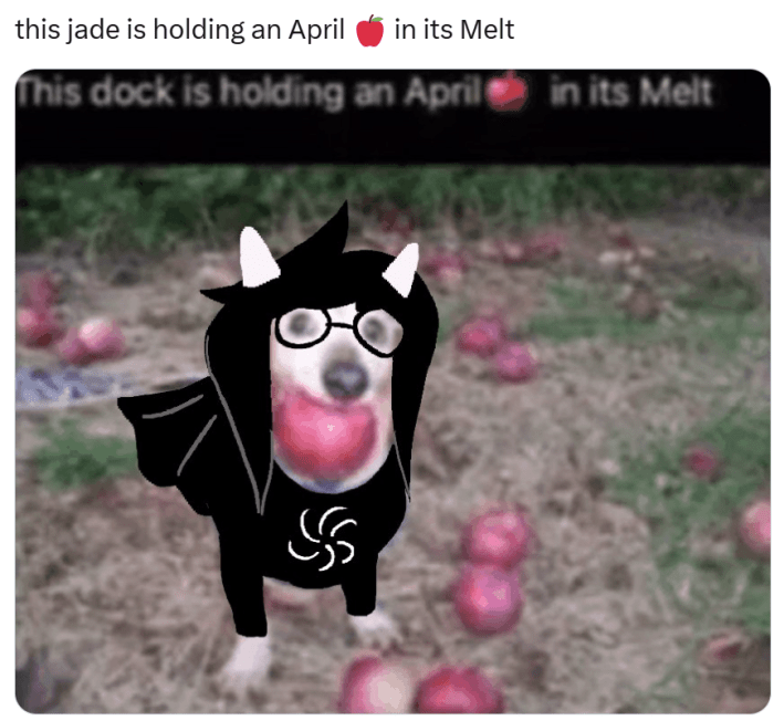 Tweet reads, "this jade is holding an April in its Melt."