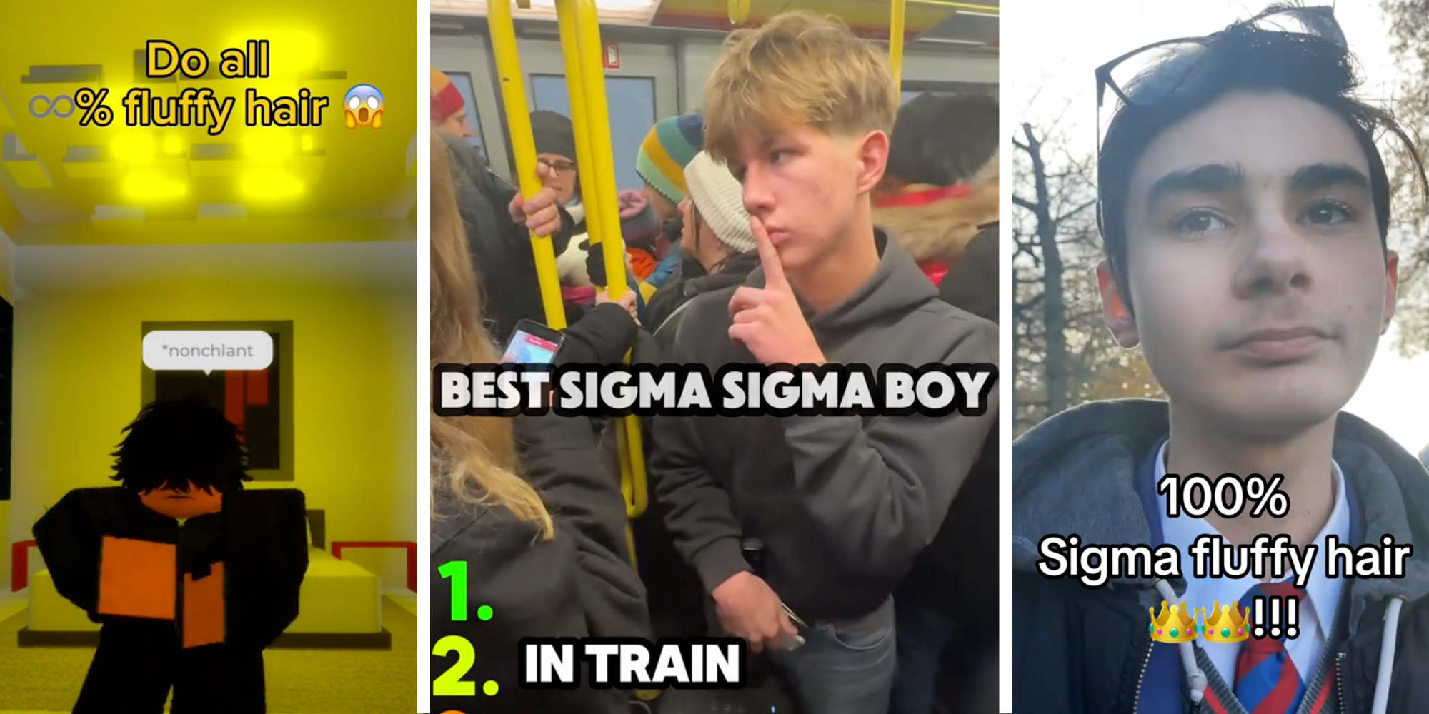 Three best sigma boy memes