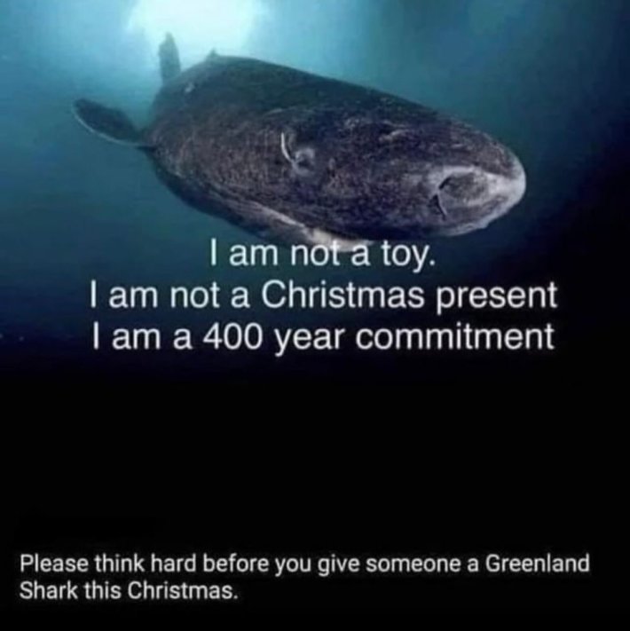 A Christmas meme spoofing off of the annual pet adoption posters that read, "I am not a toy. I am not a Christmas present. I am a [400 year] commitment."