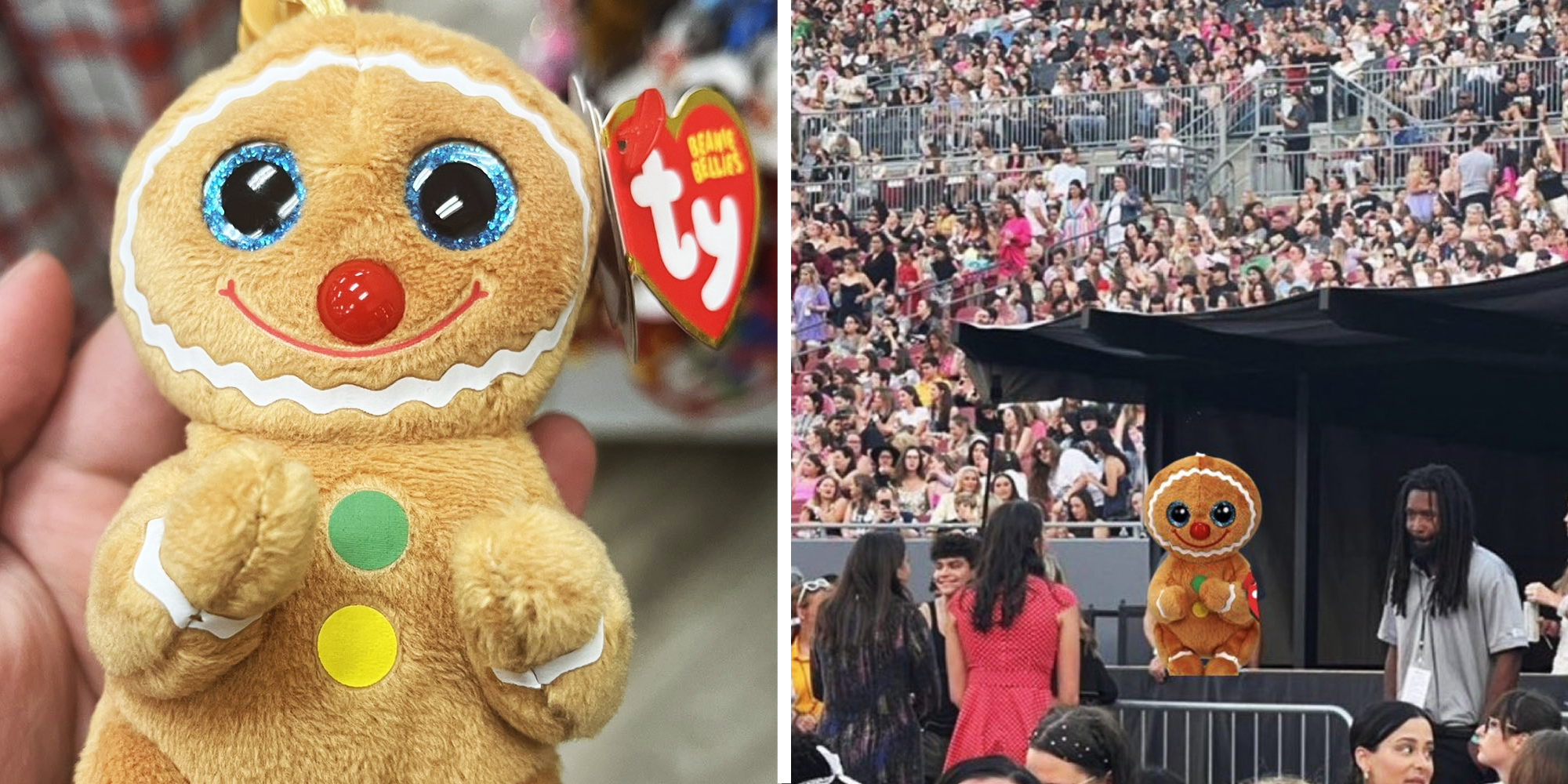Cookie Beanie Baby(l), Cookie Beanie Baby meme(r)