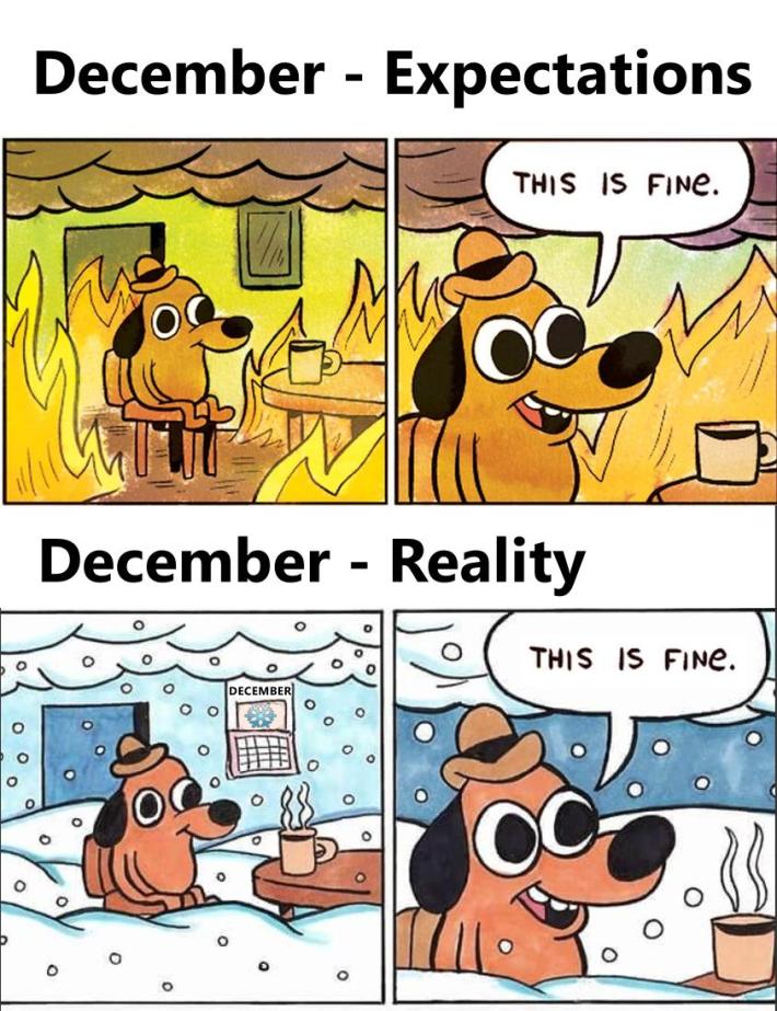 December expectations vs reality with the "this is fine" meme.