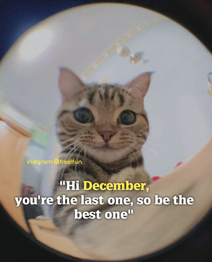 Photo through a peephole of a cat. Text reads, "Hi December, you're the last one, so be the best one."