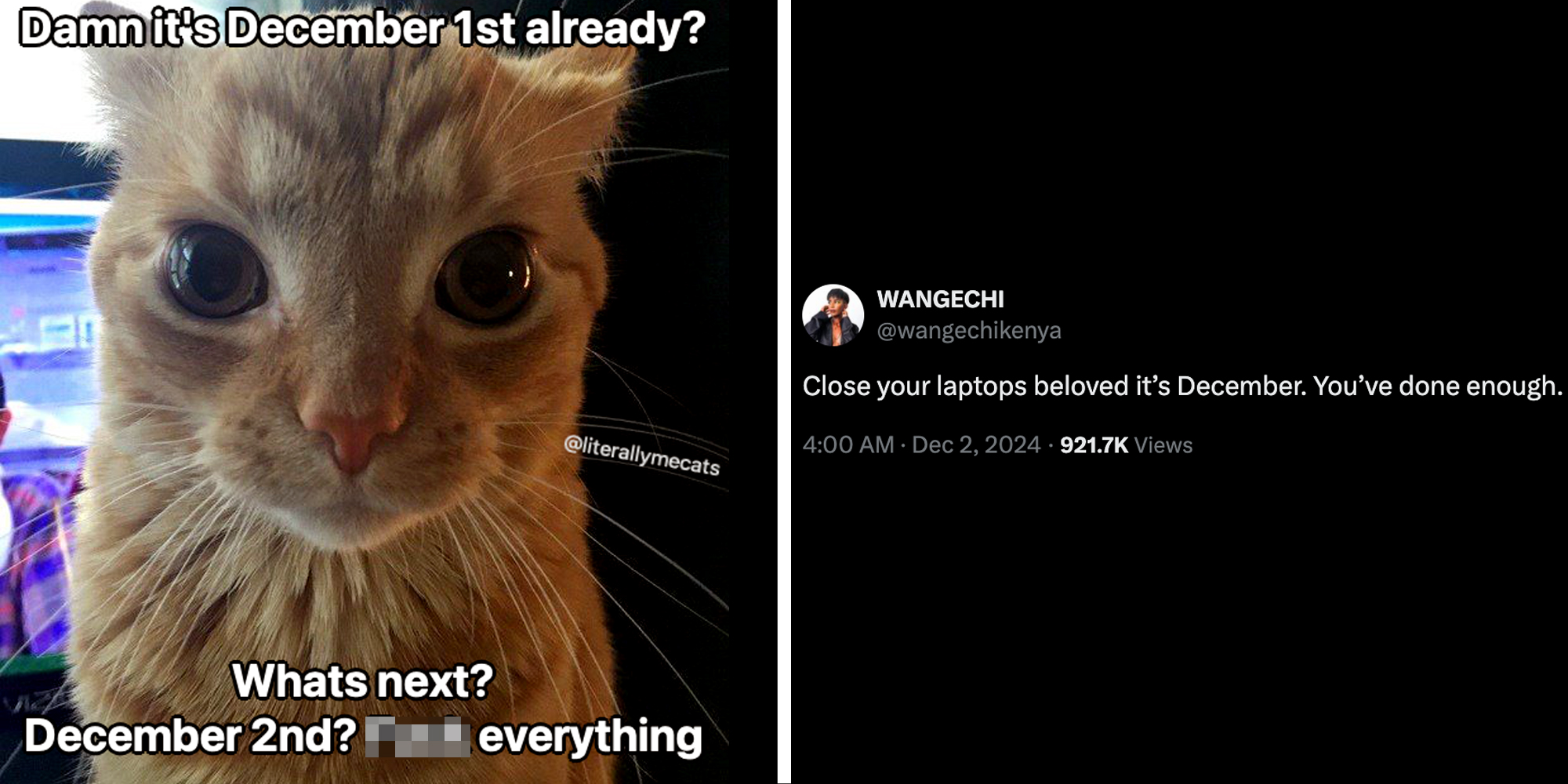 Cat with text that says "Damn it's December 1st already? Whats next? December 2nd? **** everything"(l), Tweet that says "close your laptops beloved it's december. you've done enough."(r)
