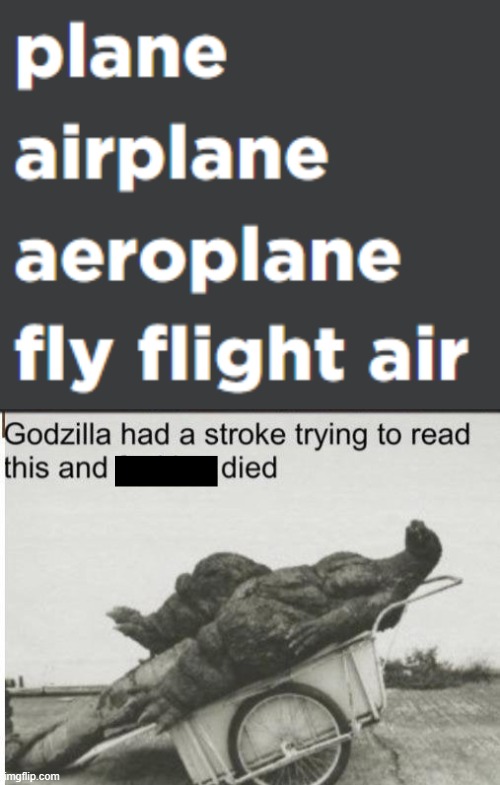 airplane aeroplane fly flight air godzilla had a stroke trying to read this