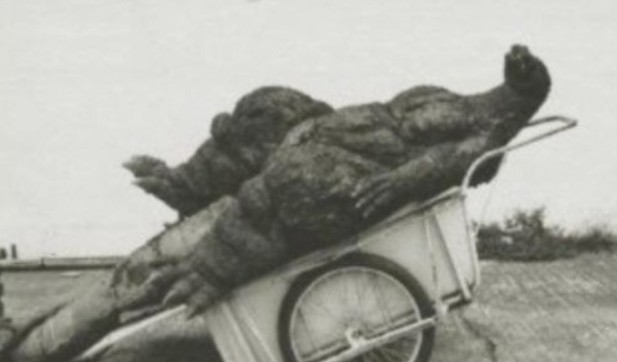 godzilla wheelbarrow photo