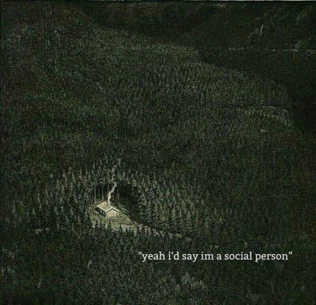Introvert meme of a small house in the middle of a forest. Text reads, "yeah, i'd say im a social person."