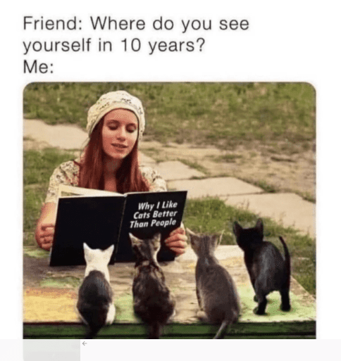 Introvert meme of a woman reading a book to cats that is titled, "Why I like cats better than people." Text reads, "Friend: Where do you see yourself in 10 years? Me:"
