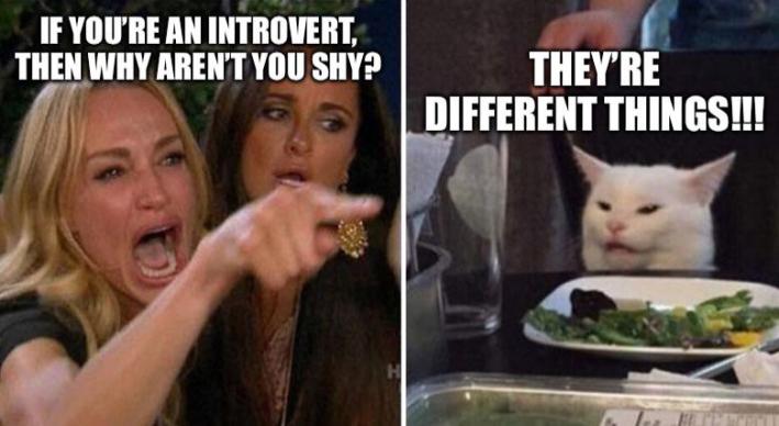 Introvert meme of the woman screaming at a white cat images. "If you're an introvert then why aren't you shy?" over the woman, "They're different things!!!" over the cat.