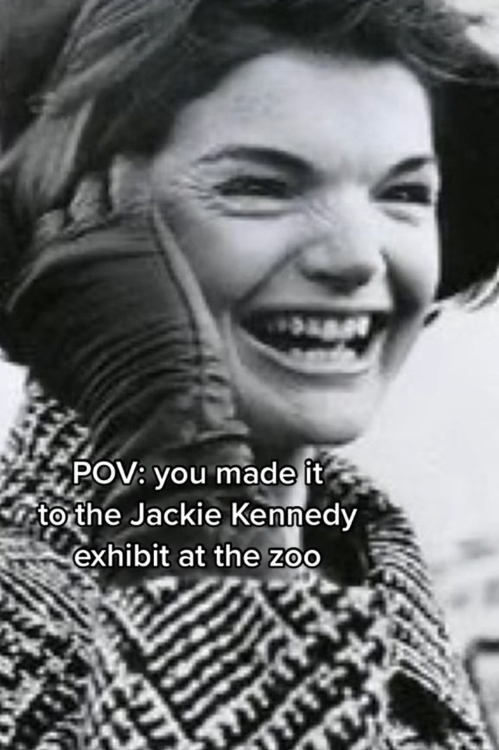 "pov: you made it to the jackie kennedy exhibit at the zoo"