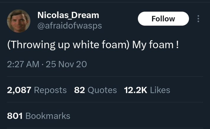 Load-bearing post screenshot. Text reads, "(Throwing up white foam) My foam !"