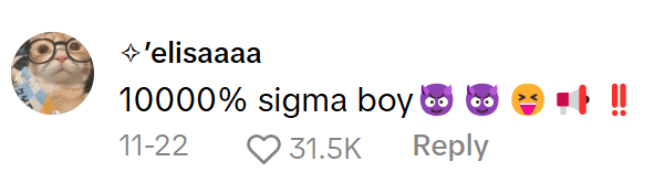 TikTok comment on Sigma Sigma Boy video reads, "