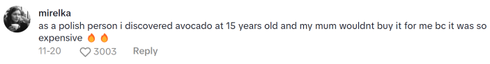 TikTok comment on a Slavic Doll Diet video. Text reads, "as a polish person i discovered avocado at 15 years old and my mum wouldnt buy it for me bc it was so expensive (fire emojis)"