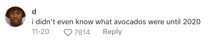 TikTok comment on a Slavic Doll Diet video. Text reads, "i didn’t even know what avocados were until 2020"