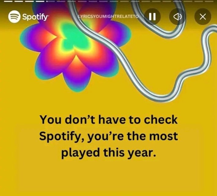 Spotify Wrapped meme that reads, "You don't have to check Spotify, you're the most played this year."