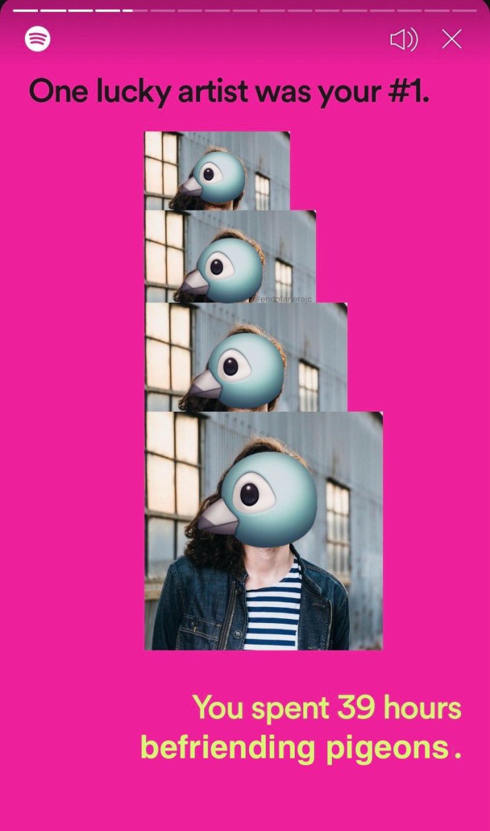 Spotify Wrapped meme that reads, "One lucky artist was your #1. You spent 39 hours befriending pigeons."