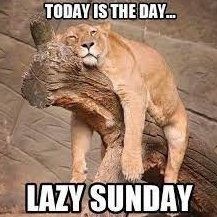 Sunday meme of a lioness snoozing on a log. Text reads, "Today is the day... lazy Sunday."