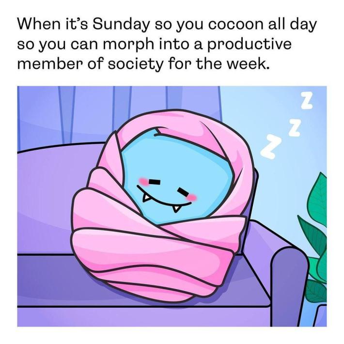 Sunday meme reads, "When it's Sunday so you cocoon all day so you can morph into a productive member of society for the week."