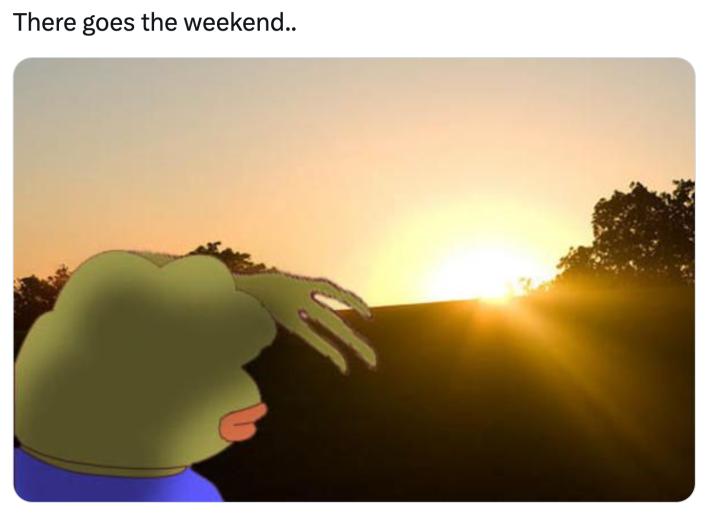 Sunday meme that reads, "There goes the weekend.." with a drawn frog holding its hand up to block out the sunrise.