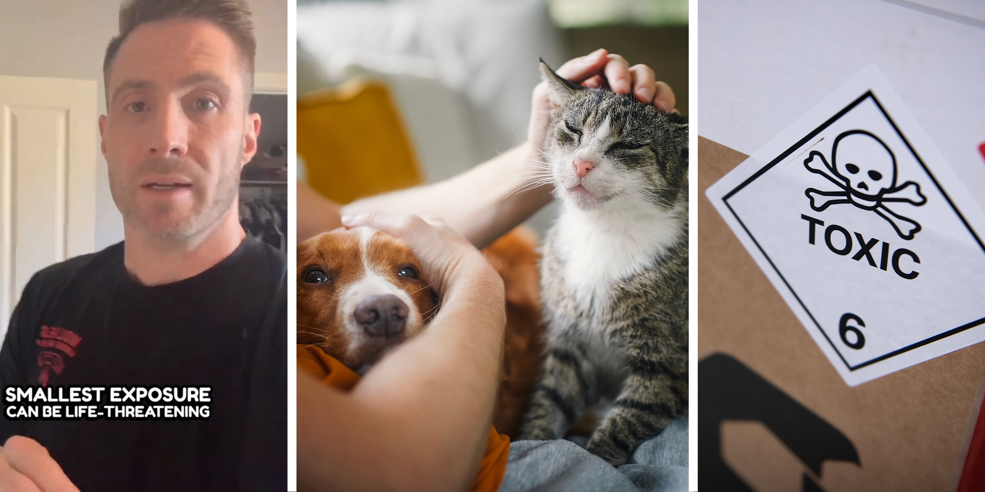 Man shares what is toxic in a household that can be dangerous to pets(l) Woman holding a puppy and petting a baby cat(c) Toxic Sign on a box(r)