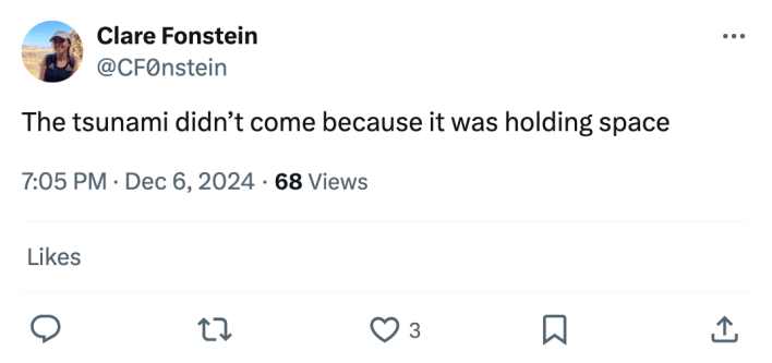 Tweet that reads, "The tsunami didn’t come because it was holding space"