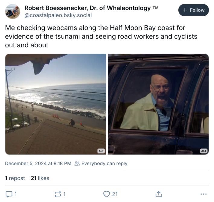 "Me checking webcams along the Half Moon Bay coast for evidence of the tsunami and seeing road workers and cyclists out and about" with a photo of people by the coast and a second photo of Walter White screaming out of a car window.