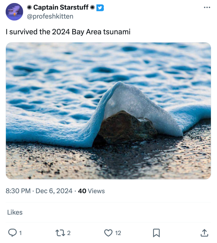 Tweet that reads, "I survived the 2024 Bay Area tsunami" with a photo of a tiny wave crashing against an equally small rock on the beach.