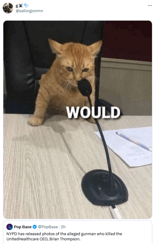 UHC shooter suspect smiling meme with the photo of the cat at a mic saying "would."