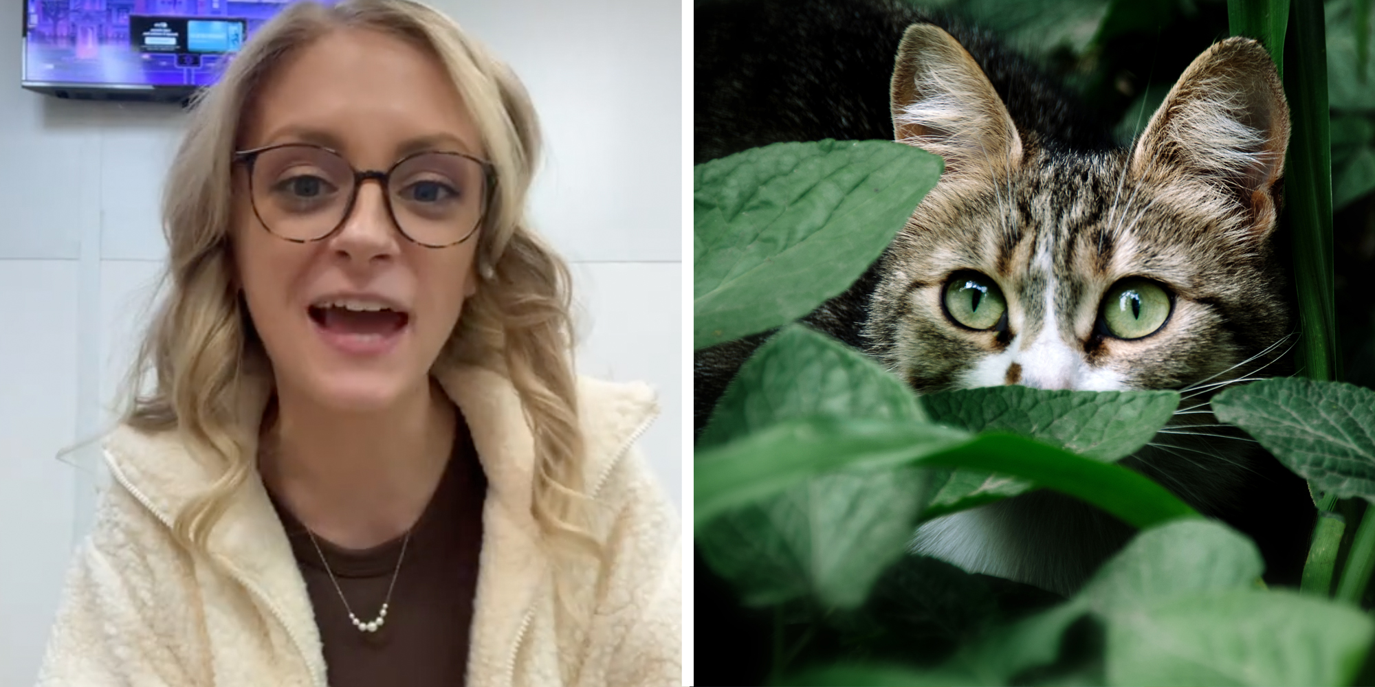 Woman talking(l), Cat in garden(r)