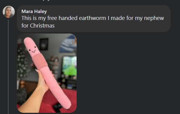 Facebook screenshot of Gen Z crocheted earthworm