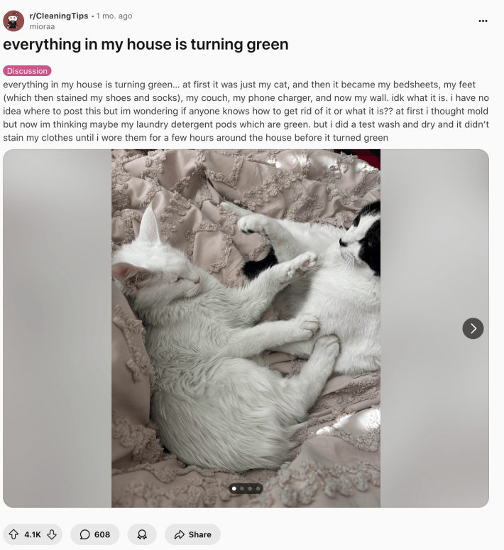 Original post about why a woman's stuff is turning green, with a thumbnail of her cats looking green