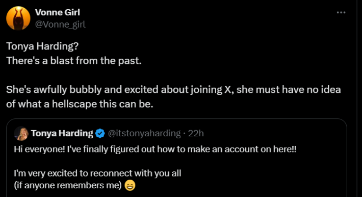 Screenshot of X post discussing Tonya Harding plane crash conspiracy