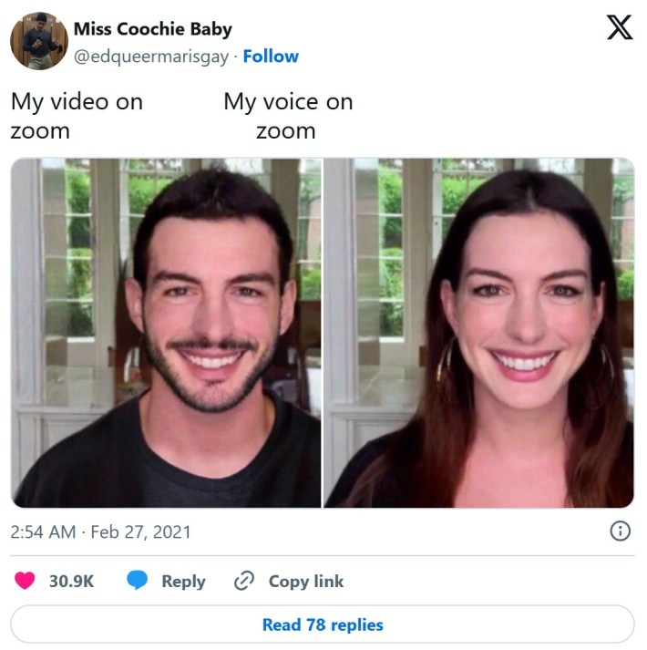 anne hathaway zoom meme "my video on zoom v my voice on zoom"