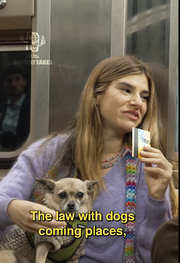 Screenshot of video on X from discussion about are dogs the same as babies