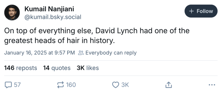 David Lynch meme, text reads, "On top of everything else, David Lynch had one of the greatest heads of hair in history."
