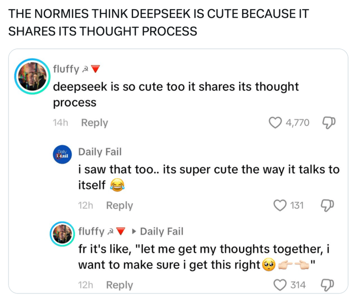 DeepSeek meme, text reads, "THE NORMIES THINK DEEPSEEK IS CUTE BECAUSE IT SHARES ITS THOUGHT PROCESS" with a screenshot of TikTok comments.