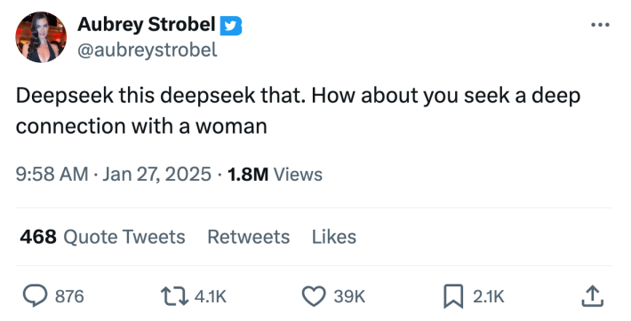 DeepSeek meme, text reads, "Deepseek this deepseek that. How about you seek a deep connection with a woman"