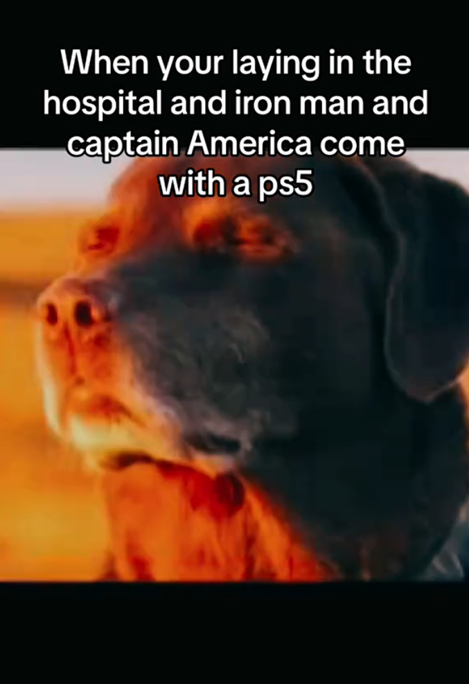Dog closing eyes meme, text reads, "When your laying in the hospital and iron man and captain America come with a ps5."