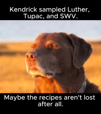 The Cooked Dog Closing His Eyes Halfway meme, explained