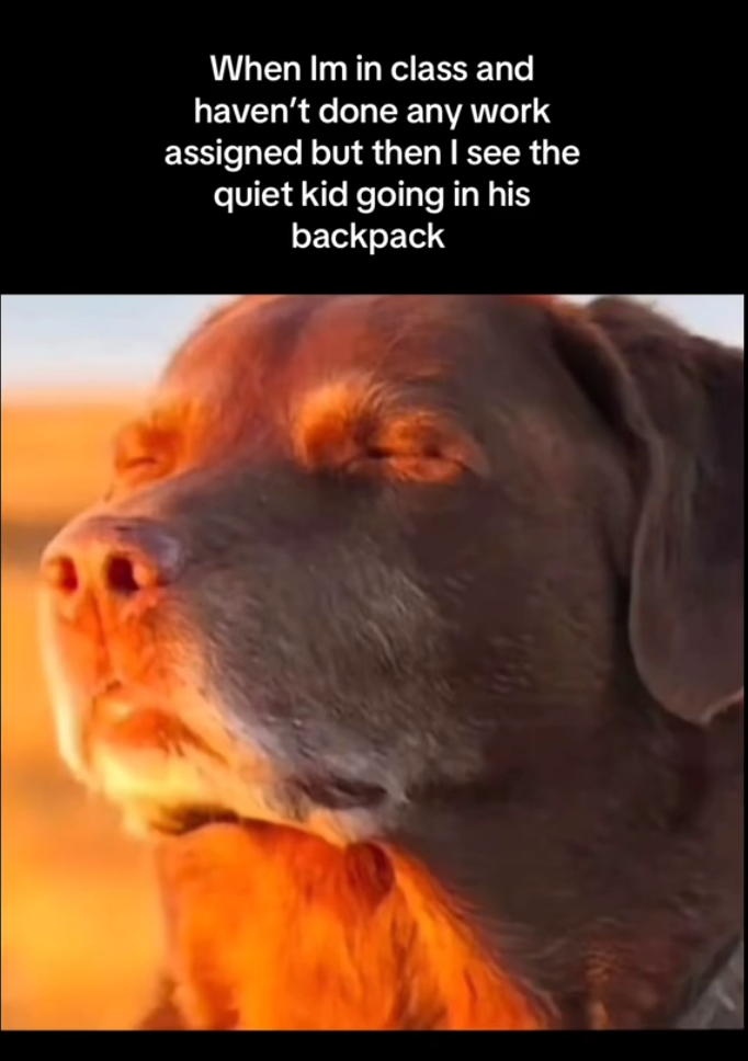 Dog closing eyes meme, text reads, "When Im in class and haven't done any work assigned but then I see the quiet kid going in his backpack."