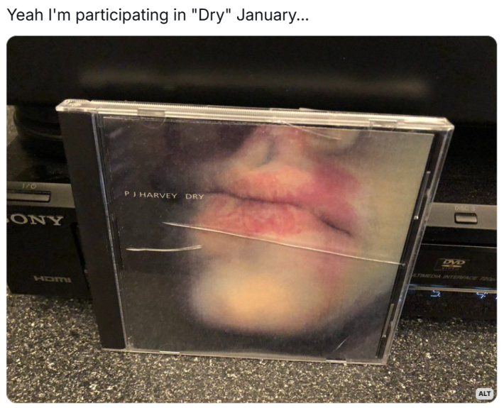Post that reads, "Yeah I'm participating in 'Dry' January..." with a photo of P.J. Harvey's "Dry" CD.