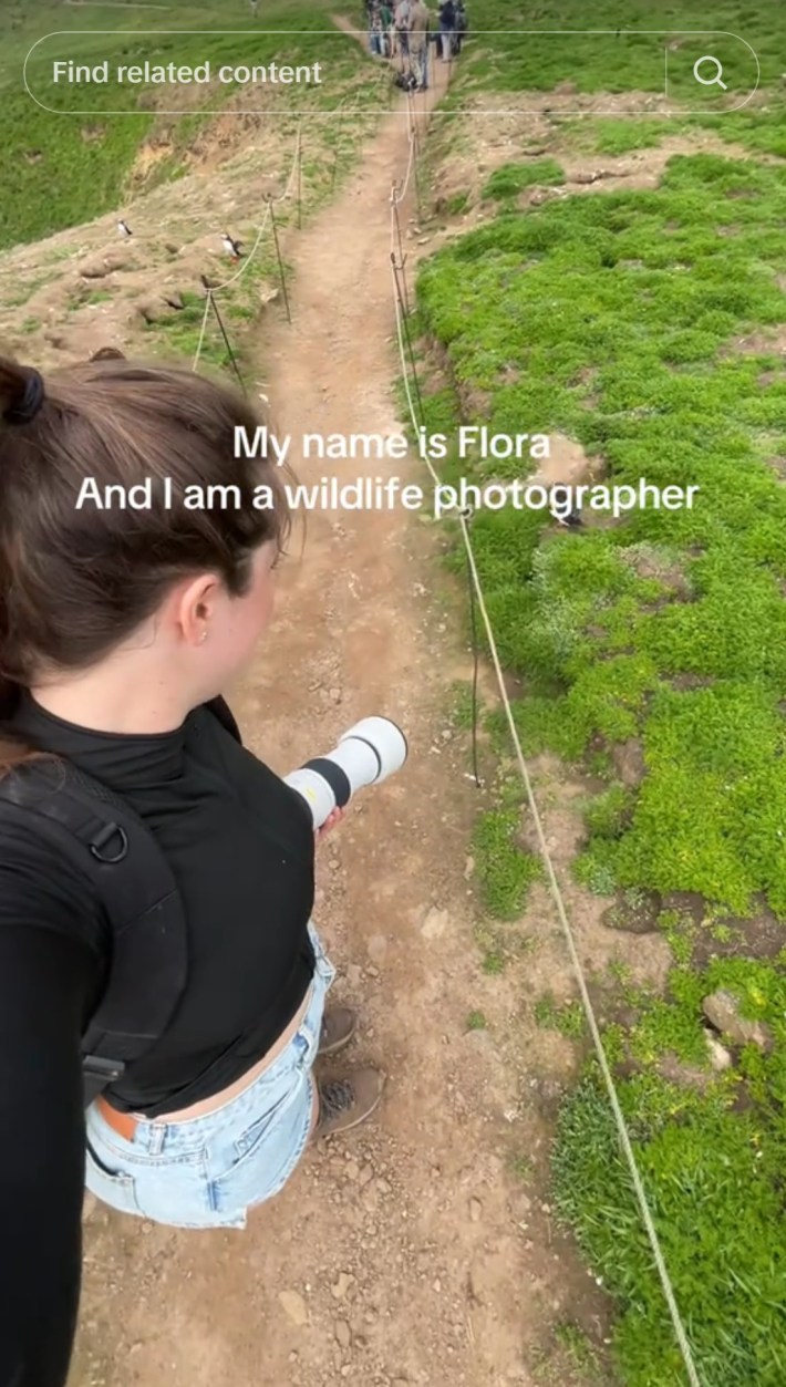 wildlife photographer introduction