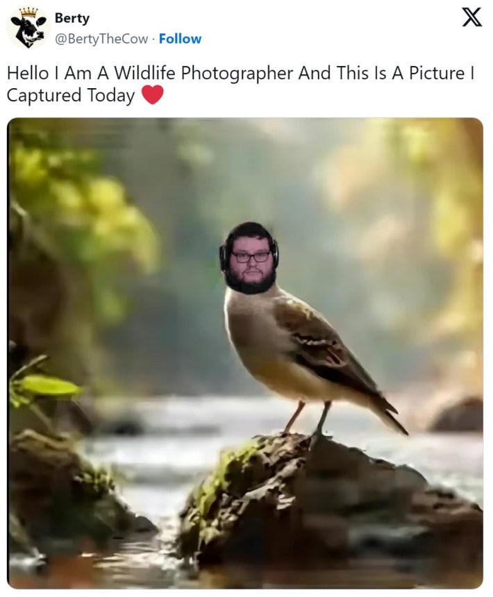 bird with human face hello i am a wildlife photographer meme
