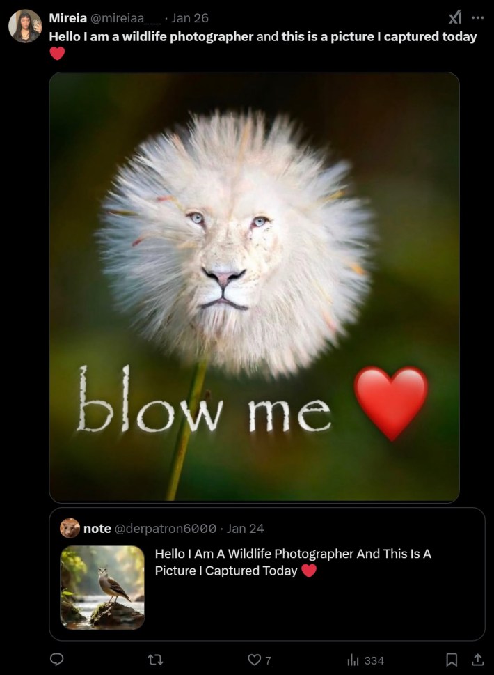 lion's face in a dandilion Hello I am a wildlife photographer and this is a picture I captured today