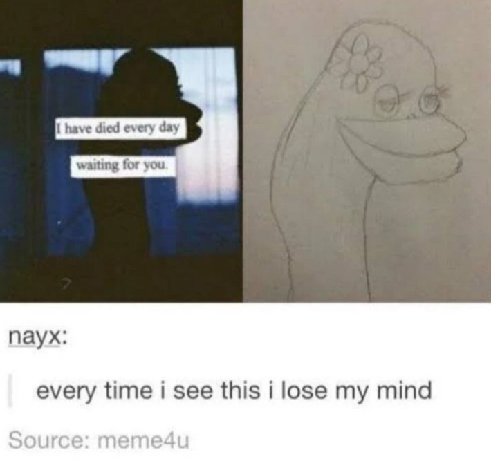 every time i see this i lose my mind