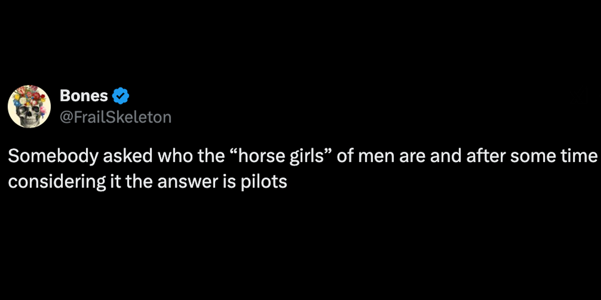 Tweet "somebody asked who the 'horse girls' of men are and after some time considering it the answer is pilots"