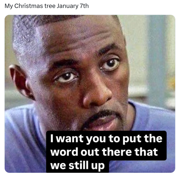 January meme, text reads, "My Christmas tree January 7th: I want you to put the word out there that we still up"