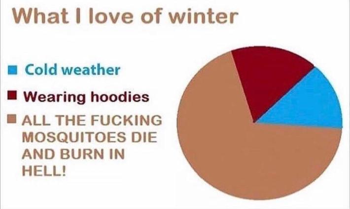 January meme, text reads, "What I love of winter: cold weather, wearing hoodies, ALL THE F*CKING MOSQUITOES DIE AND BURN IN HELL!"