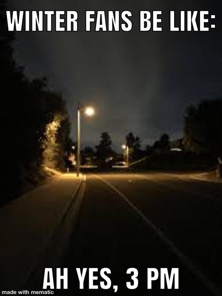 January meme, text reads, "Winter fans be like: Ah yes, 3 pm." and a photo of a dark street.